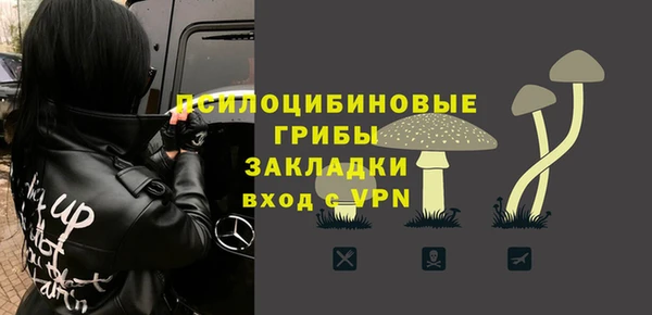 ешки Лагань