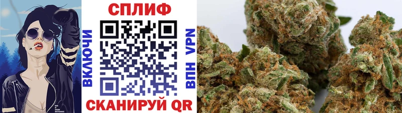 цена наркотик  MEGA ССЫЛКА  Бошки марихуана SATIVA & INDICA  Туран 